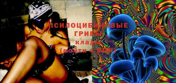 СК Алексеевка