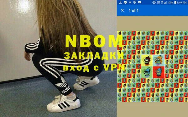 твердый Инсар