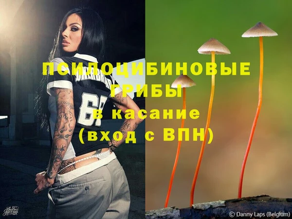 СК Алексеевка