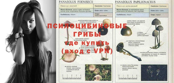 таблы Алзамай