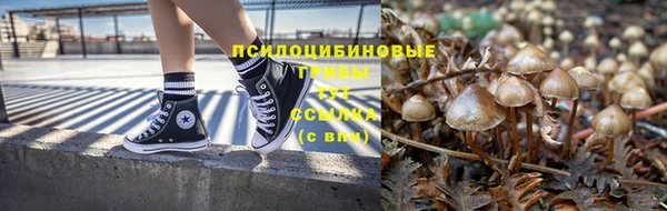 таблы Алзамай