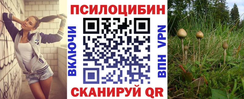 где купить   Феодосия  Галлюциногенные грибы Cubensis 