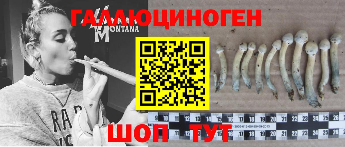 Феодосия  Псилоцибиновые грибы прущие грибы  Вход с VPN 
